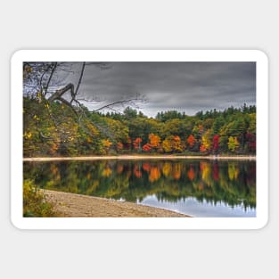 Walden Pond Fall Foliage Concord MA Sticker